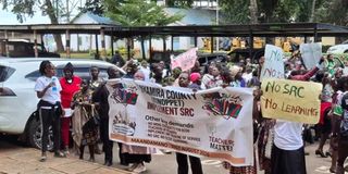 ECDE teachers