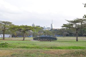 Central Park, Nairobi.