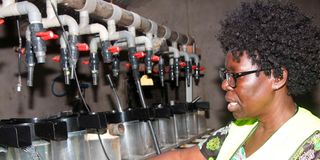 Matilda Omollo 
