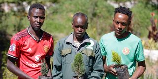 David Kuria, Peter Warui 