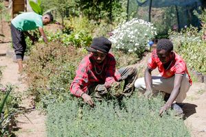 Molo Constituency Forest Association