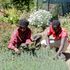 Molo Constituency Forest Association