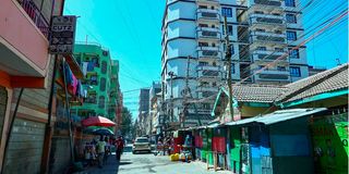 Tassia