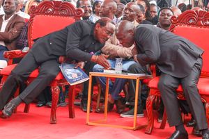 Kalonzo Musyoka