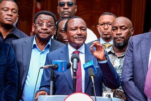 Kalonzo Musyoka