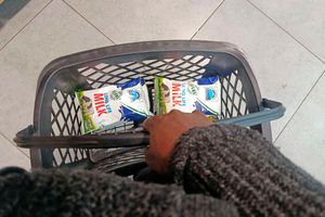 Milk