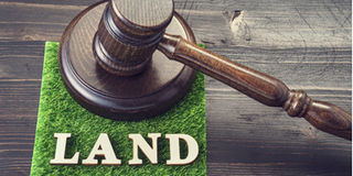 Gavel and patch of land