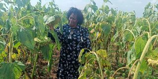 Lily Cherono Kimtai 