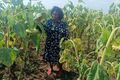 Lily Cherono Kimtai 