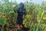 Lily Cherono Kimtai 