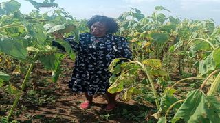 Lily Cherono Kimtai 