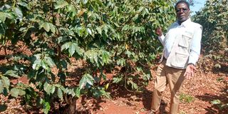 Kiganda Farm
