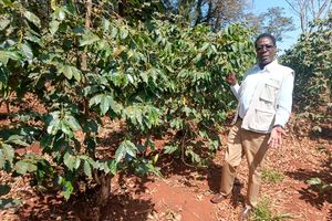 Kiganda Farm