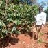 Kiganda Farm