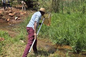 Laban Njoroge