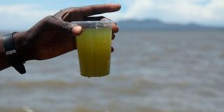Green water