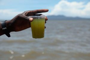 Green water