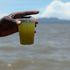 Green water