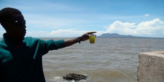 Green water