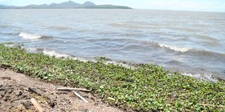 Lake Victoria