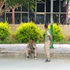 2026-09-24T104049Z_206197792_RC2KPNAFXBEA_RTRMADP_3_ETHIOPIA-SECURITY