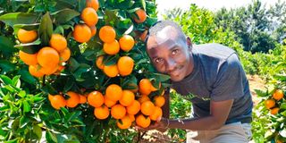 Aron Ndisya Muthini