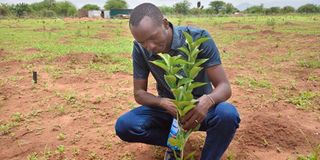 Aron Ndisya Muthini,