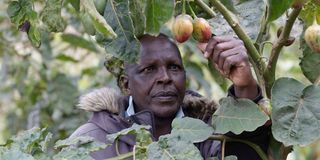 Josphat Kipkurui Ngetich
