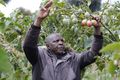 Josphat Kipkurui Ngetich