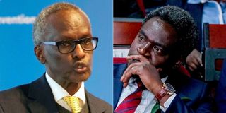  Isaac Lenaola and Nelson Havi