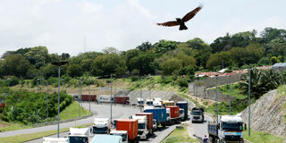 DN COAST EBOLA 0710I