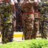 Kenya Defence Forces