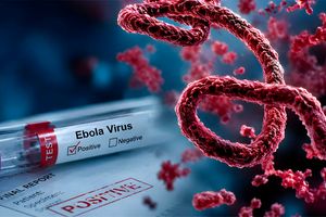 Ebola virus