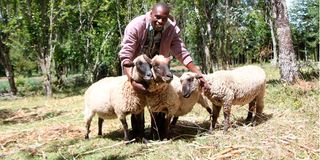 Patrick Ng'ang'a,