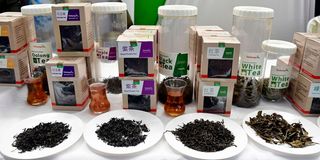 Chebango EPZ Tea