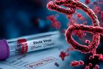 Ebola virus