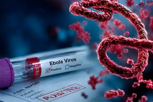 Ebola virus
