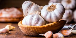 Garlic