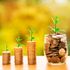 economic growth 