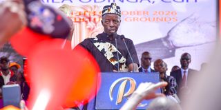 Raila Odinga Junior