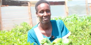 Violet Rotich