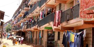 Laini Saba, Kibra