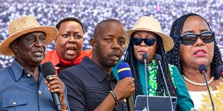 Odinga family 