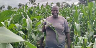 Samuel Muchoki Mbugua