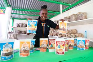 Kaganki Ventures 