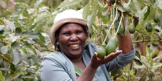 Mary Njeri Chege 