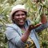 Mary Njeri Chege 