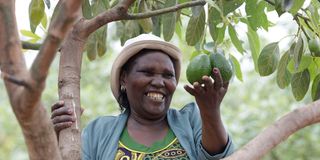 Mary Njeri Chege 