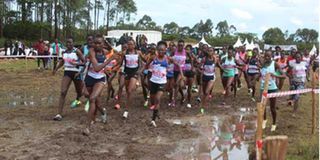 Agnes Jebet Ngetich