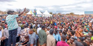 William Ruto
